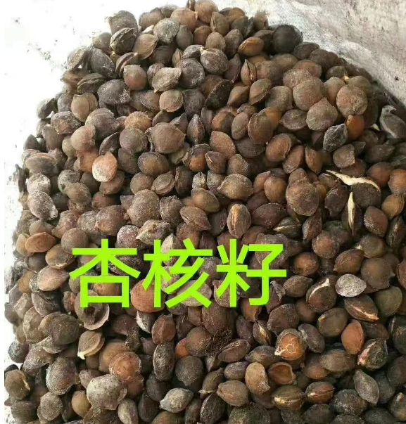 公主岭各种树种子供应电话