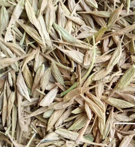 吉林各种树种子供应基地哪家好